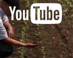 Video: High Tunnel Soil Nutrient Management