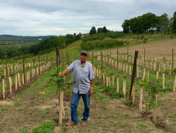 Eastern NY Grape Industry Growth Prompts Marketing Initiatives,Specialist Hiring