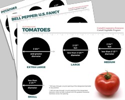 Growing for Wholesale: Vegetable Grading/Sizing Templates