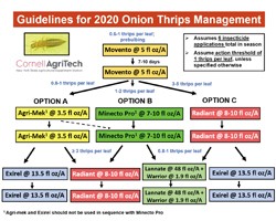 Guidelines for 2020 Onion Thrips Management in Onion