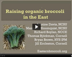 Eastern Organic Broccoli Webinar Recording