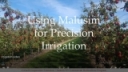 Planning Your Irrigation with Malusim