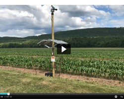 Laser Scarecrows in Sweet Corn Session at the 2021 Empire State Producers Expo