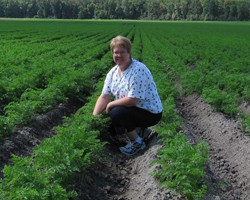 Managing Weeds in Carrot Fields
