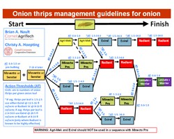 2023 Guidelines for Onion Thrips Management for Onion