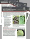 New York Urban Farms Sustainable Pest Management Fact Sheet Series