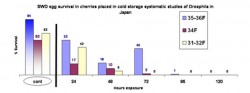 Effects of Fruit Cooling on Spotted Wing Drosophila