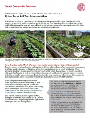 Urban Farm Soil Test Interpretation